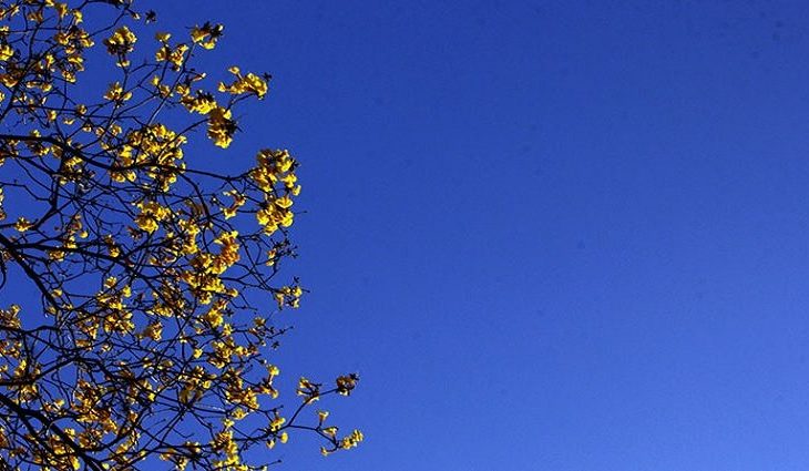 O Cemtec ainda explica que as primeiras chuvas da primavera normalmente são rápidas