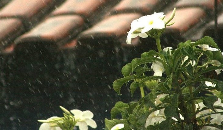 Chuva em MS