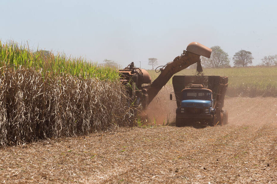 De janeiro a outubro, o volume exportado pela agropecuária cresceu 13,1% em relação ao mesmo período de 2019