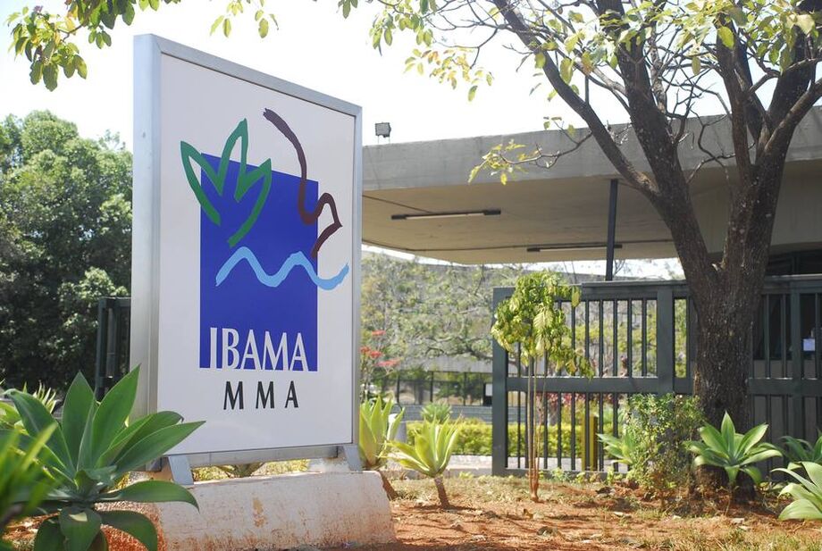 A atuação de agentes do Ibama e ICMBio nas florestas é tema recorrente de críticas do presidente Jair Bolsonaro