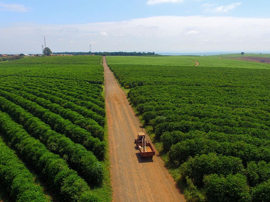 Desempenho do agronegócio puxa criação de empregos
