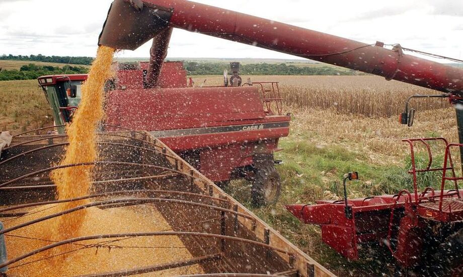 Brandão: não observamos ainda uso da cota de importação de arroz com taxa zero
