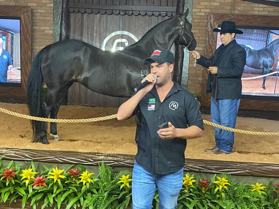 Quem esteve a cargo da batida do martelo foi o leiloeiro Agnaldo Agostinho de Souza.
