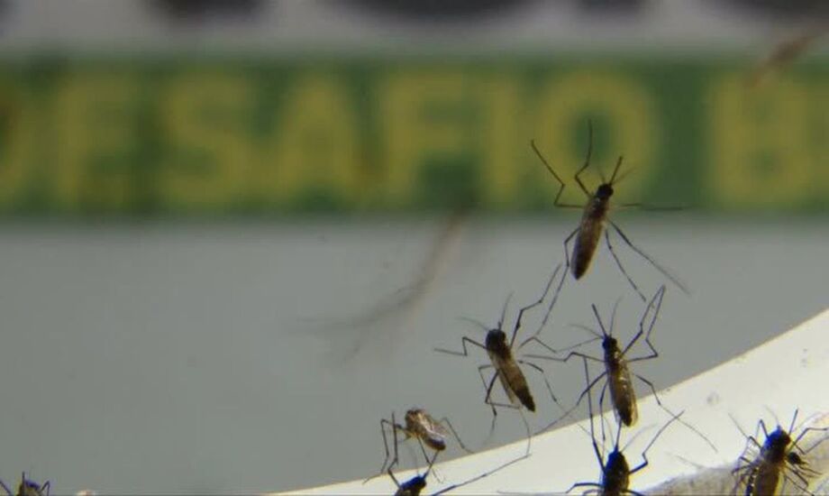 Em uma semana, Mato Grosso do Sul registrou 502 novos casos de dengue, segundo as informações do boletim divulgado hoje (25) da Secretaria de Estado de Saúde (SES)
