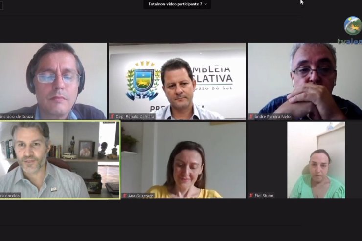 Encaminhamento foi feito durante live da Frente Parlamentar de Enfrentamento à Tríplice Epidemia