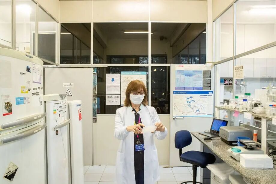 A pesquisadora Dra. Maria Rita Passos-Bueno, 61 anos, no Centro de Pesquisa do Genoma Humano, com cartela de resultados de teste de saliva para o novo coronavírus