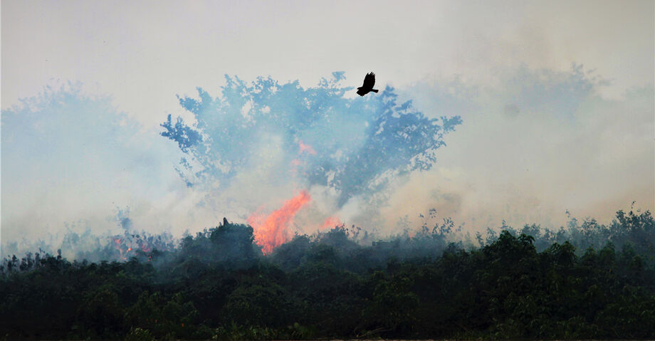 O Pantanal apresentou a sétima alta mensal consecutiva e bateu o recorde do registro histórico para setembro