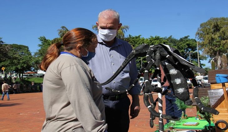 Acão no dia D de combate a dengue