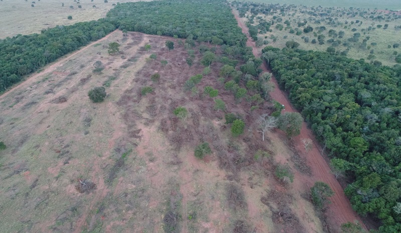 Cerca de 3,46 hectares de supressão vegetal ocorreram em área protegida de reserva legal e 2,90 hectares em área fora de proteção especial, porém, tudo sem licenciamento ambiental.