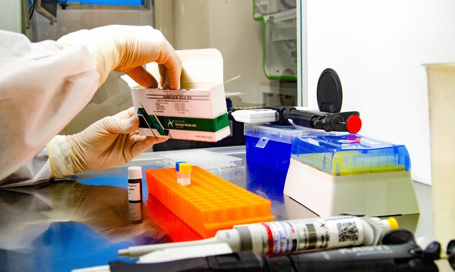 Dezenove pesquisadores brasileiros estão entre os mais citados de 2020