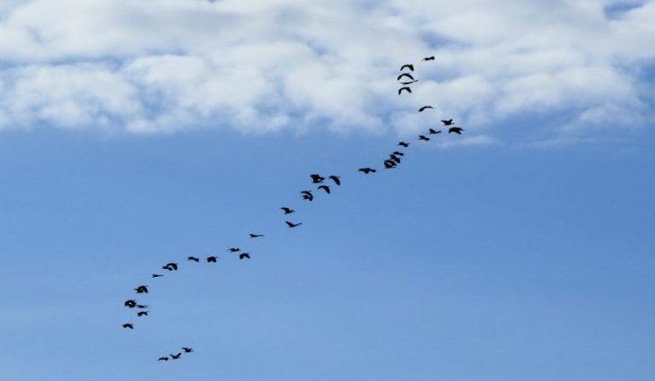 Para a Capital a previsão indica sol com aumento de nuvens pela manhã