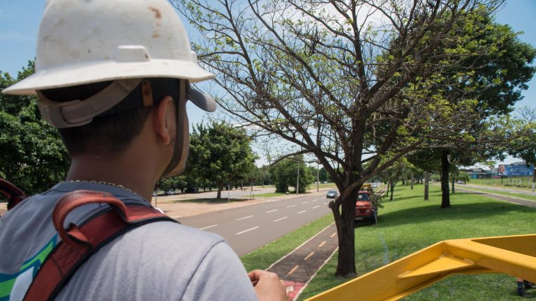 A Prefeitura de Campo Grande começou a instalar a decoração natalina que neste ano chegará aos canteiros centrais de três avenidas, na Rua 14 de Julho