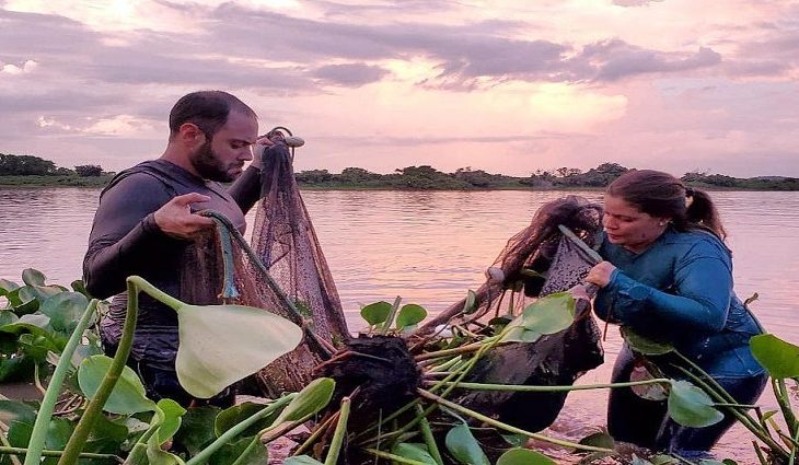 Pesquisadores do Laboratório de Ictiologia do Imasul (Instituto de Meio Ambiente de Mato Grosso do Sul) desenvolvem há quatro anos um projeto para atualizar o inventário ictiológico da Bacia do Alto Paraguai