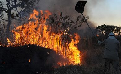 Incêndios florestais no DF caem 50%