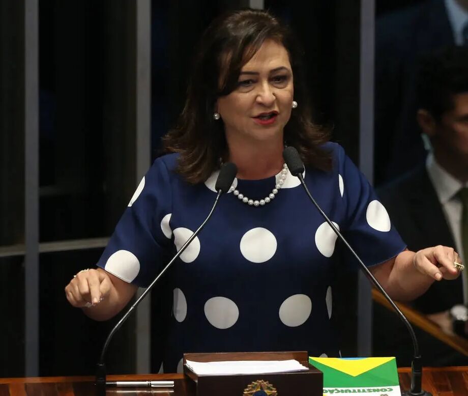 A senadora Kátia Abreu (PP-TO)