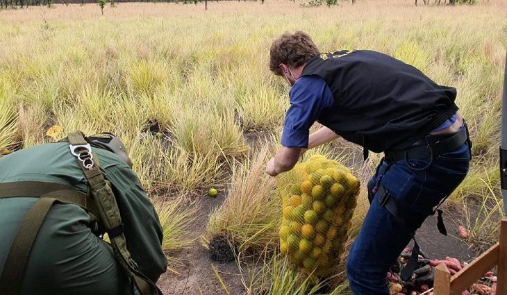 O leque de atuação do grupo se ampliou com a mobilização da sociedade para arrecadar alimentos a serem destinados ao assistencialismo temporário aos animais silvestres