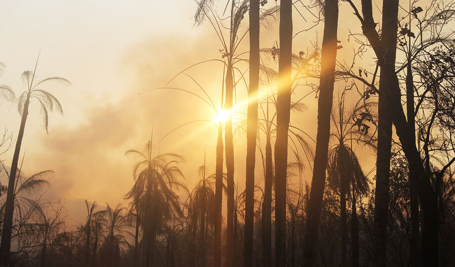 Os focos estão localizados nas matas ciliares dos rios Paraguai e Cuiabá, que margeiam o parque de 138 mil hectares, na reserva Acurizal e em direção da Ilha Ínsua, área demarcada dos índios guató, na fronteira com a Bolívia