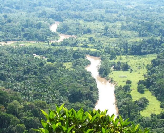 Biodiversidade. Trecho do parque da Serra do Divisor