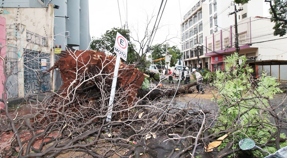 A chuva causou diversos estragos nesta semana no Centro de Campo Grande