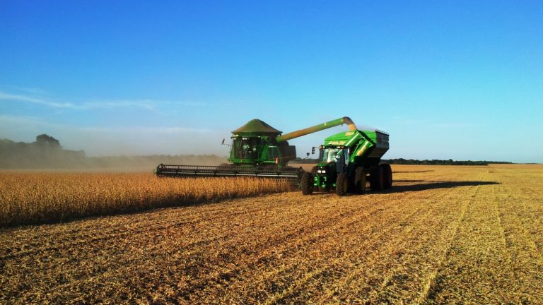 No último quadrimestre a produção de grãos em Mato Grosso do Sul manteve sua alta demanda por crédito rural, superando mais uma vez a pecuária.