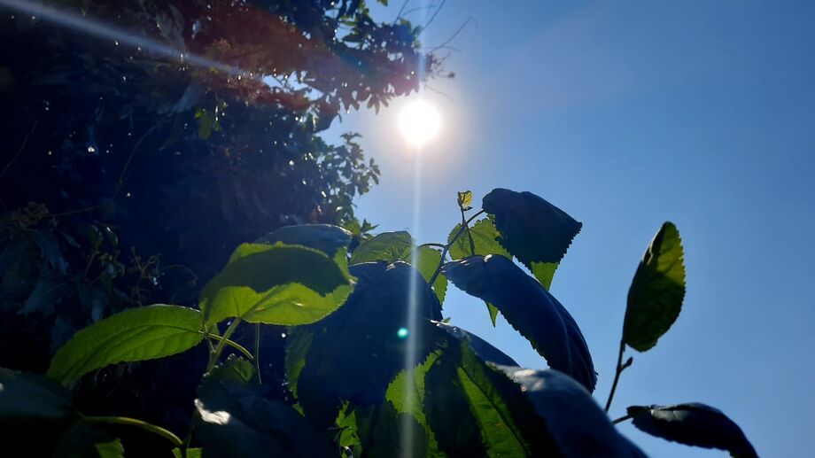 Com temperatura acima dos 30° C e sensação térmica na casa dos 40° C, o sábado (28) foi de muito calor em Mato Grosso do Sul