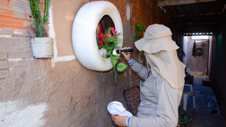 Desde o início do mês de novembro as ações de combate ao mosquito Aedes aegypti têm sido intensificadas em Campo Grande