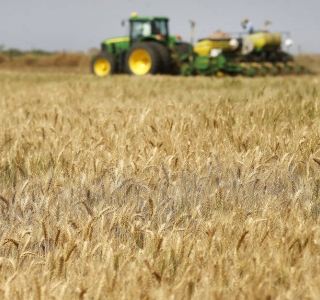 Agronegócio está entre os setores que tiveram crescimento em fusões e aquisições