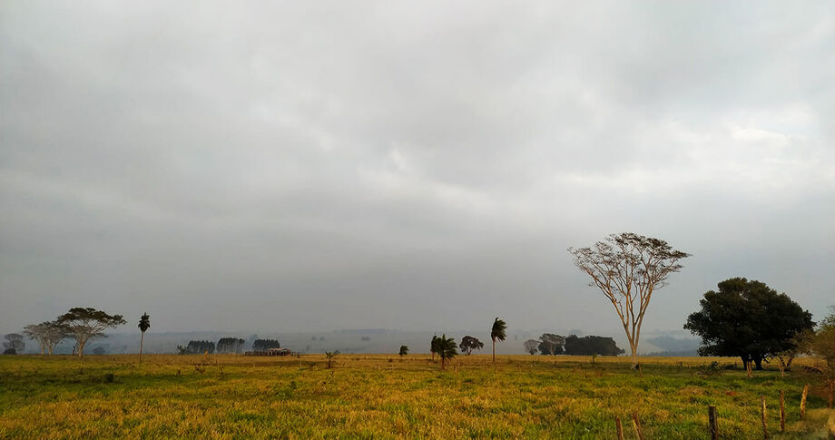 Os primeiros 15 dias de dezembro em Mato Grosso do Sul, prometem ser de muita chuva
