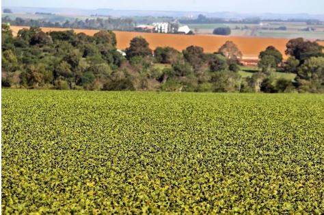 Expectativa não é vender a terra para estrangeiros, mas liberar investimentos internacionais em empresas brasileiras agrícolas
