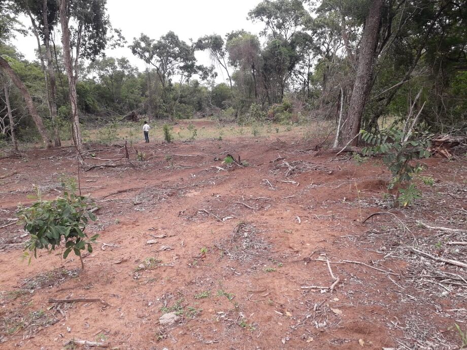 Durante fiscalização ambiental na zona rural do município de Santa Rita do Pardo