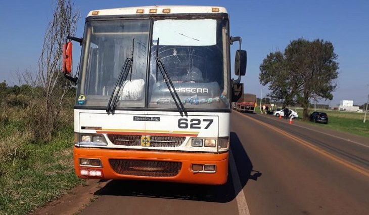Documento detalha todas as condições para estabelecimento do Termo de Ajustamento de Conduta, em substituição a penalidades pecuniárias