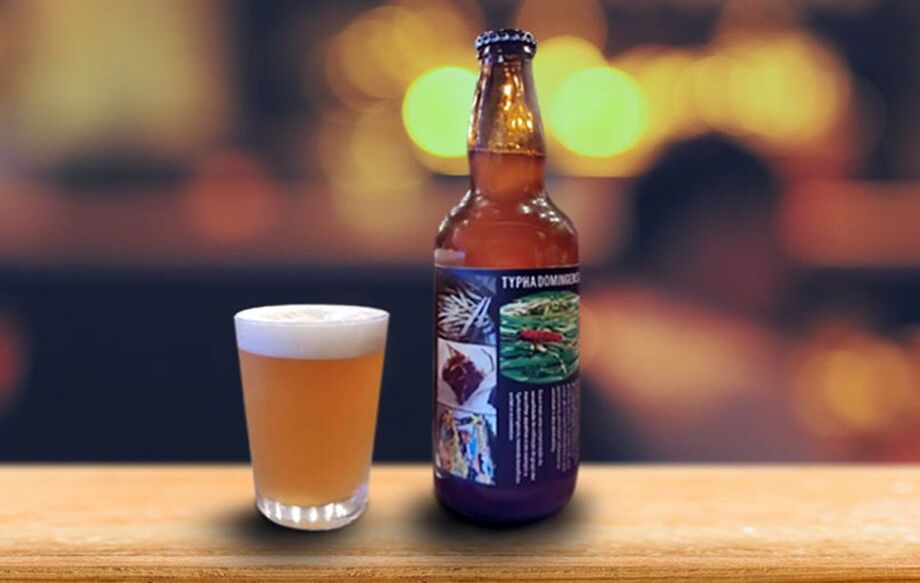 Cerveja