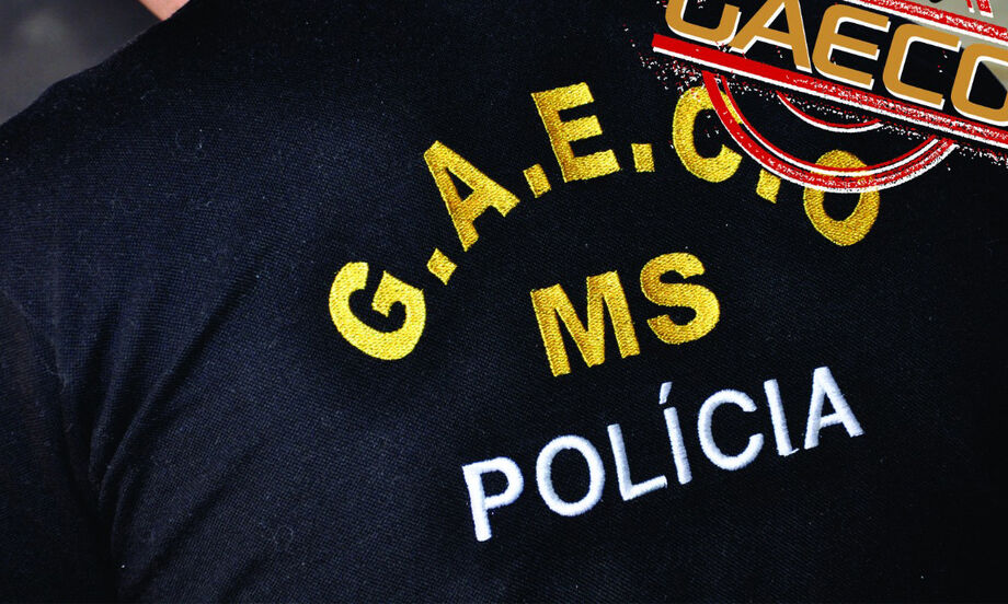 As infrações penais apuradas nesta fase referem-se à organização criminosa, exploração de jogo do bicho e lavagem de dinheiro