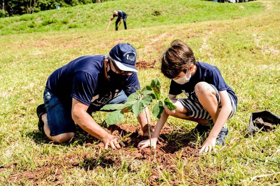 Com as mãozinhas cheia de terra e o olhar de esperança ao colocar a muda em um dos buracos, preparados pela equipe do Imasul no Parque das Nações Indígenas