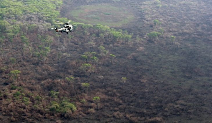 As áreas de pecuária foram afetadas de forma severa pela seca e pelas queimadas em 2020