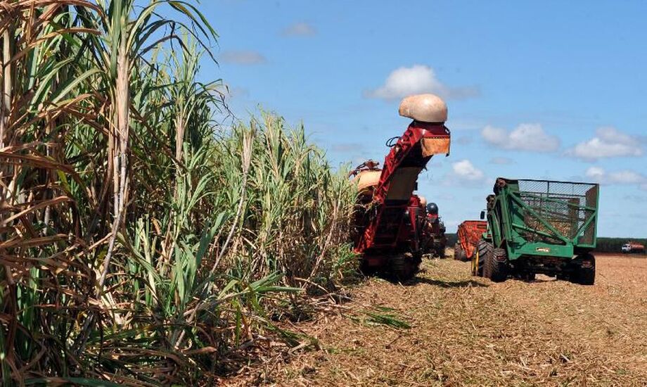 Nos próximos dias 7 a 9 de dezembro acontece o Simpósio Estadual de Fitossanidade - Resgatando a Sustentabilidade, que trata de técnicas como o manejo integrado de pragas