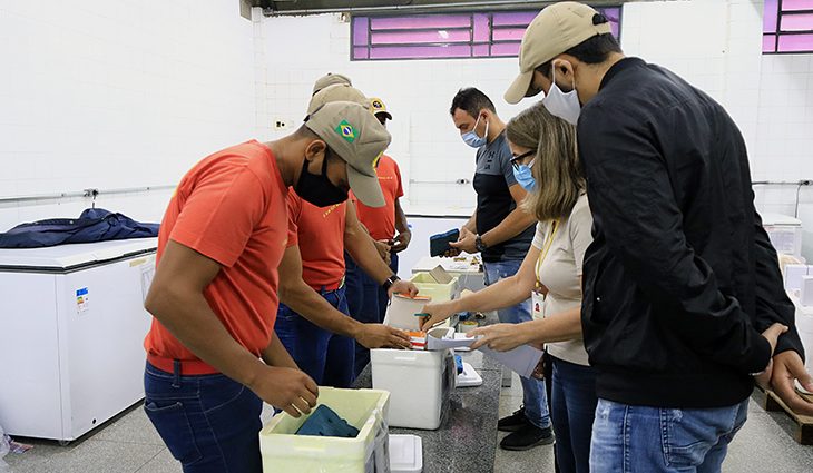 Todos os municípios já estão com doses da vacina