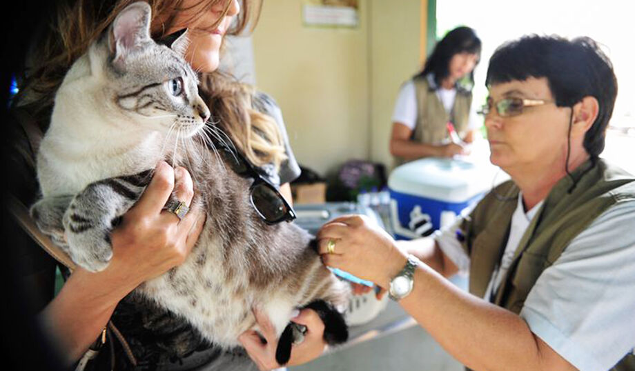 O Centro de Triagem será responsável por receber, avaliar, recuperar, reabilitar e destinar animais provenientes de abandono, ação de fiscalização, resgates e entrega voluntária