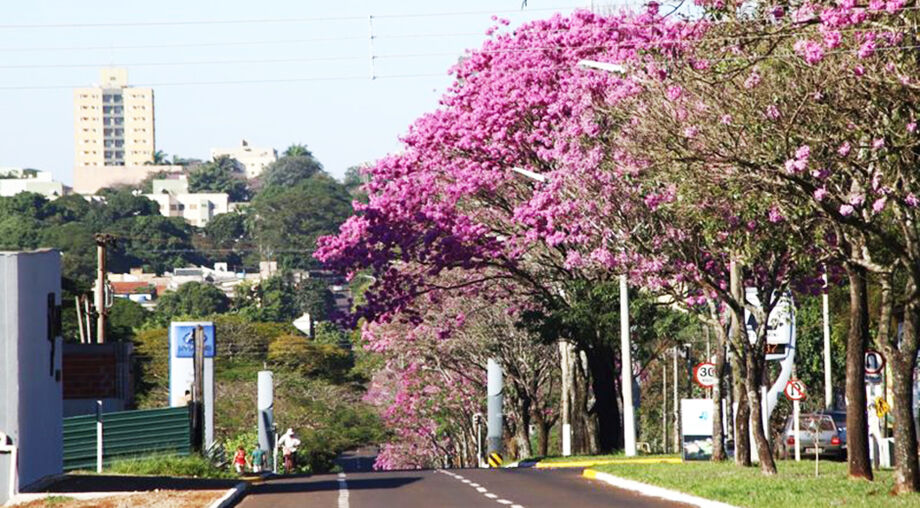 Município de Dourados