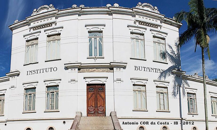 Enfermeira de São Paulo é primeira brasileira vacinada contra covid-19