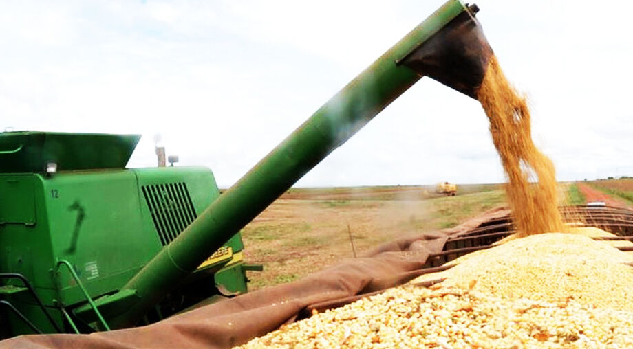 Produtores de soja tem até o dia 10