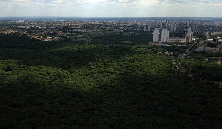 Meio Ambiente