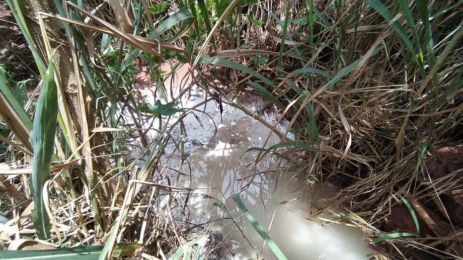 Foi constatado o lançamento de líquidos de cor branca e forte odor no córrego Cumandaí
