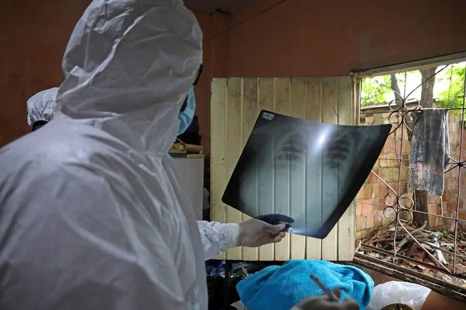 Nova variante teria surgido no Amazonas, estado que enfrenta nova alta de casos da covid-19