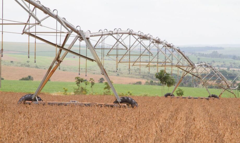 O Ministério da Agricultura divulgou uma nota para reafirmar que a produção de soja no país é sustentável e que a cultura do grão não exporta desmatamento
