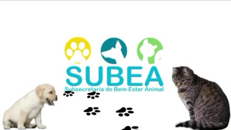 Prefeitura lança programa inédito de educação para o Bem-Estar Animal nas redes sociais