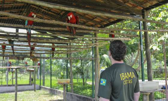 Após morte de animais, Ibama terá novos tratadores em Centro de Triagem
