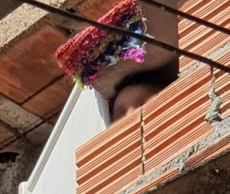 Garoto foi resgatado pela PM em janeiro
