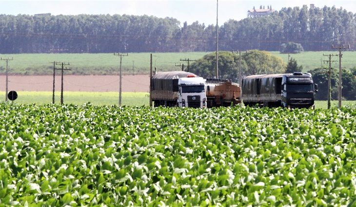 MS registra o 2º maior crescimento de produção de grãos do Brasil