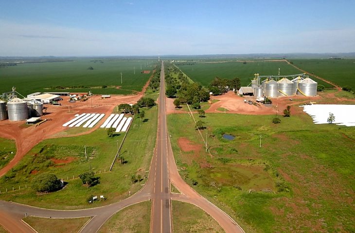 Áreas improdutivas e de pastagem estão sendo ocupadas pela soja e milho na região Sudoeste de Mato Grosso do Sul, avançando nas margens da rodovia BR-267 em direção a Porto Murtinho